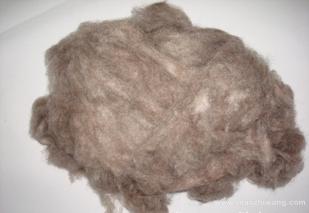 新疆可批量生产国内最细山羊绒